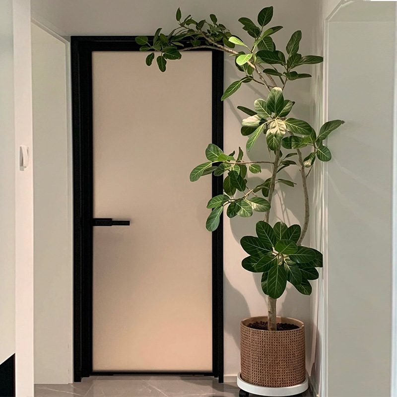 造型孟加拉榕盆栽大型绿植室内客厅网红植物办公室庭院净化空气