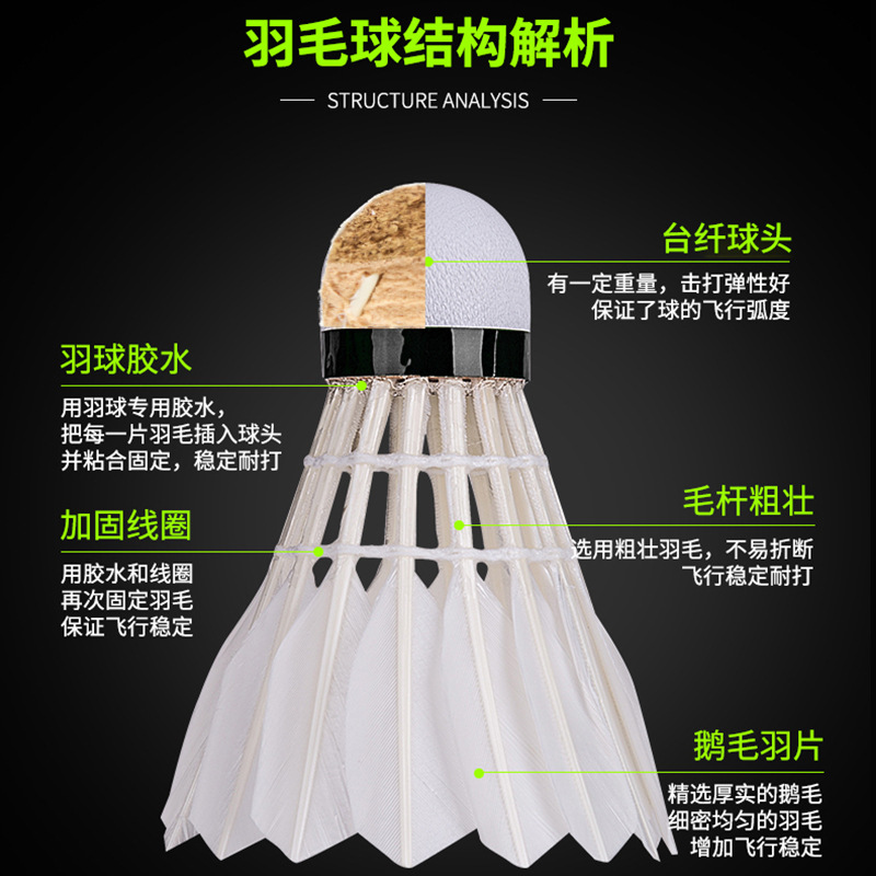 Deli Angnite Badminton 6 Pcs 12 Pcs Goose Feather Durable Durable Indoor and Outdoor Professional Training Competition