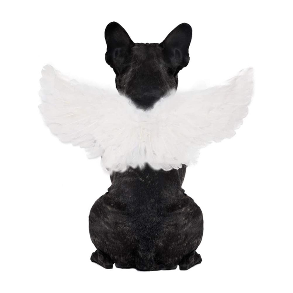 宠物天使翅膀胸背 万圣节创意猫咪狗狗小型犬变身装服饰新品