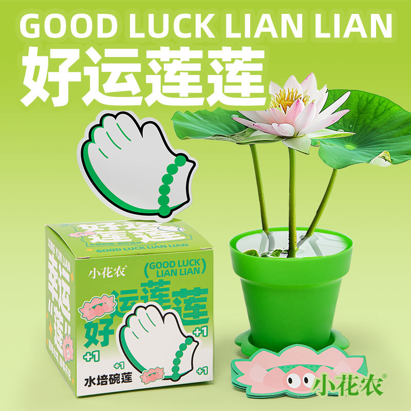 Children's Planting Mini Pot Lotus Fun Decompression Green Plant Desktop Plant Flower Decoration Student Small Gift