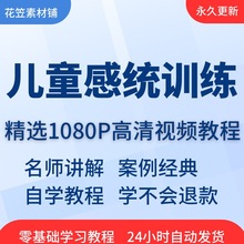 从感统到课程训练视频教程精通培训儿童入门学习技巧在线全套