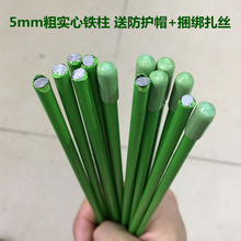 金钱树植物花架蔬菜瓜果黄瓜豆角番茄爬藤架园艺支撑杆户外攀爬架