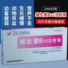 兽用维生素B12注射液猪牛羊宠物药品神经炎贫血生长缓慢VB12针剂