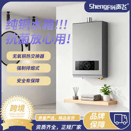 跨境外贸零冷水燃气热水器家用天然气恒温增压水伺12升13升16升