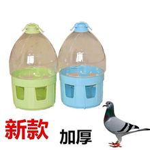 鸽子用品用具水壶信鸽喂水器饮水器自动喝水壶加厚耐摔鸟水壶