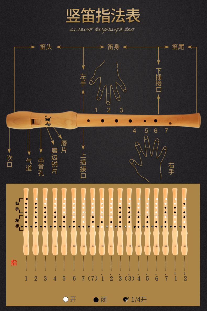 中音竖笛指法八孔图片