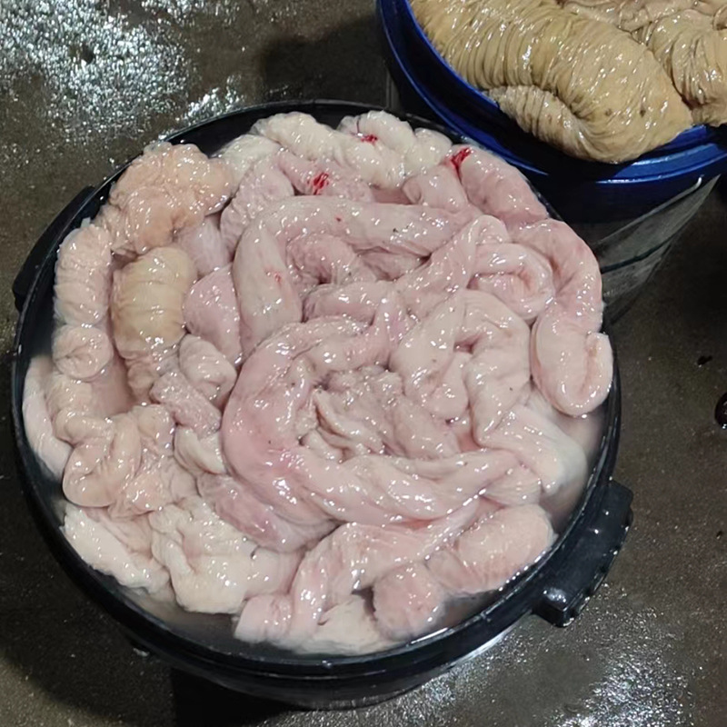 驴板肠生驴肠散养现杀生驴板肠 驴套肠鲜驴大肠小肠驴下水批发