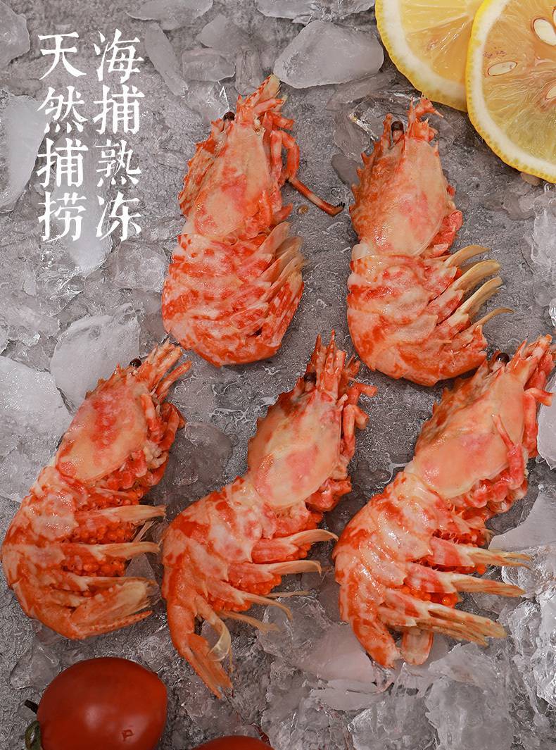 包邮俄罗斯火龙虾格陵兰虾莱伯虾鬼海老虾北极甜虾冰虾海虾即食包