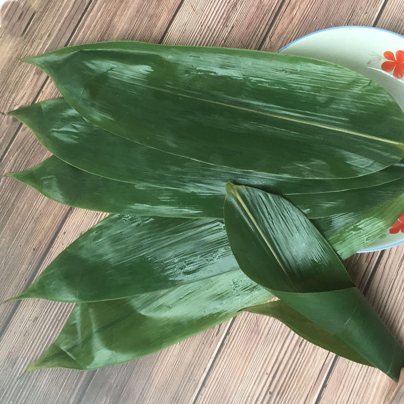 批发粽叶新鲜特大粽叶现摘端午节粽子芦苇叶干叶野生天然棕叶箬叶