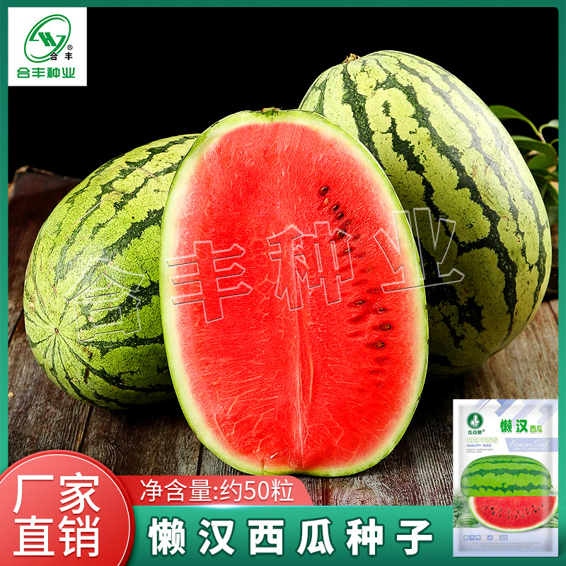 西瓜种籽子特大懒汉西瓜王麒麟甜王四季水果脆甜多汁大西瓜种籽