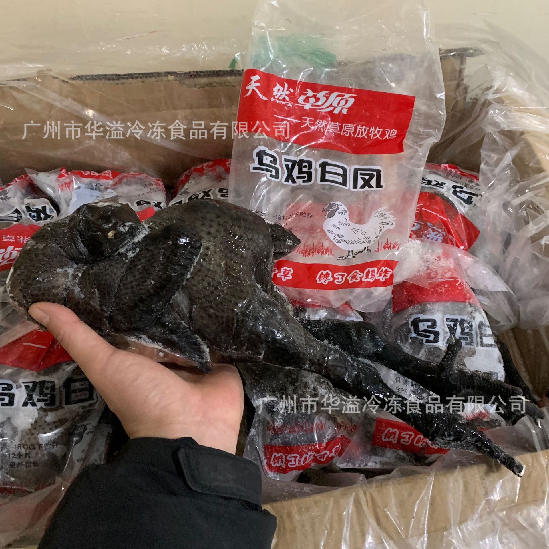 冷冻乌鸡 竹丝鸡 20斤/箱9只 广州批发炖汤食材黑乌鸡白凤竹丝鸡