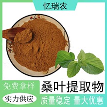 桑叶提取物10：1桑叶黄铜水溶性桑叶粉食品级原料植物提取物