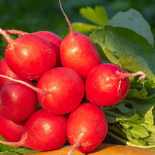 艳紫水果胡萝卜新鲜生吃甜脆型5斤紫色皮云南大理小紫玉萝卜_阿里巴巴