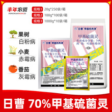 日曹甲托70%甲基托布津甲基硫菌灵苹果轮纹病白粉病纹枯病杀菌剂