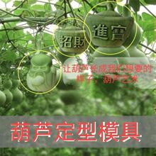 批发葫芦模具瓜果模具人参果葫芦定型塑料范制葫芦艺术