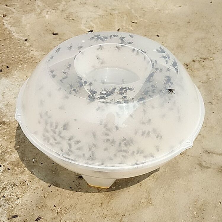 苍蝇捕捉器捕蝇笼捕蝇器灭蝇器诱捕笼-阿里巴巴
