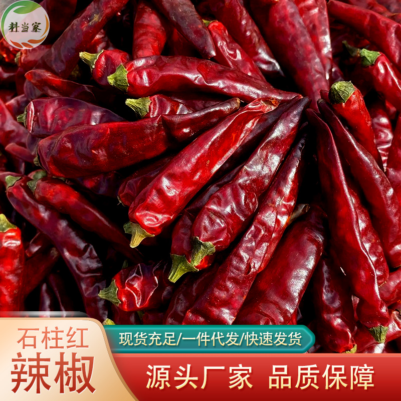 重庆石柱红3号辣椒干辣椒香辣浓香提色餐饮火锅冒菜原材料500g