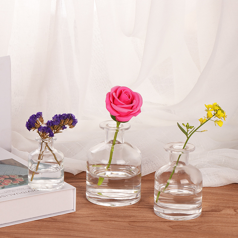 Creative Nordic Glass Vase Transparent Hydroponic Vase Desk Decoration Bottle Yurt Home Glass Bottle Decoration