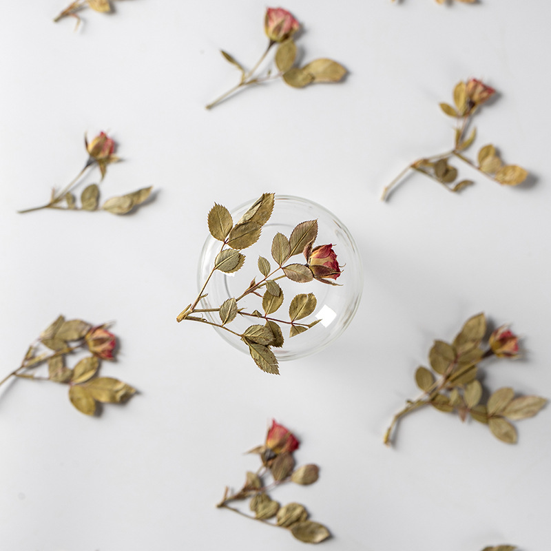 玫瑰花枝朵-玫瑰花枝朵厂家,品牌,图片,热帖-阿里巴巴