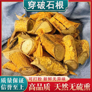 正品广西野生穿破石根500g中药材棉地根九层皮石柘根穿破石可片