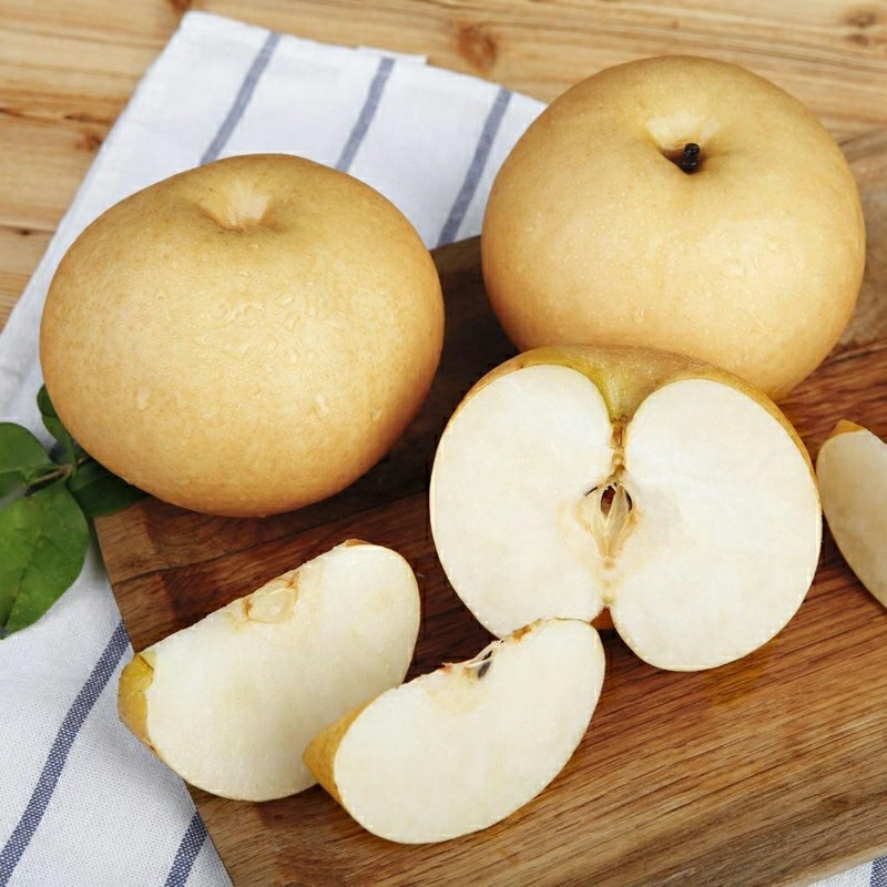 山东秋月梨莱阳梨果农新鲜采摘丰水梨南水梨水果烟台