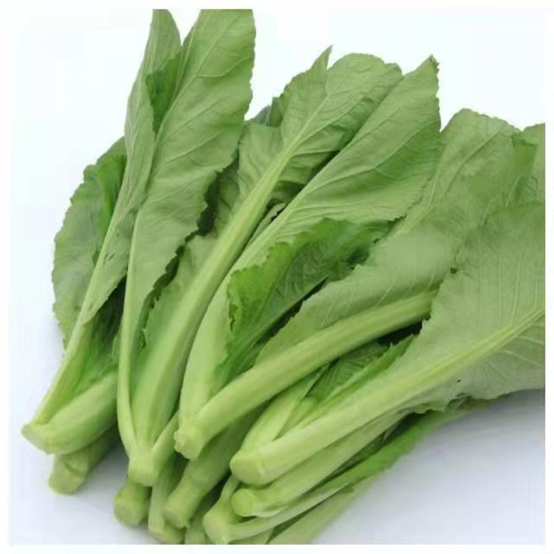 0(%)级别一级良种品种竹芥商品属性