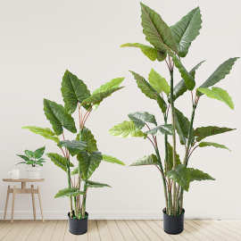 ins风仿生绿植彩虹芋树家居盆栽摆件加厚叶片滴水观音仿真树批发