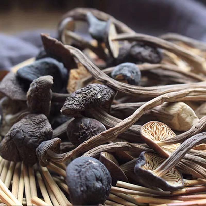 黑皮鸡枞干货食材云南特产香菇菌菇菌类煲汤鸡纵蘑菇半菌山珍