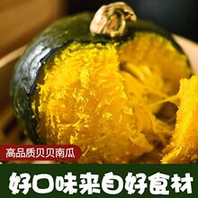 超粉糯贝贝南瓜板栗味小南瓜宝宝辅食新鲜蔬菜休闲食品批发