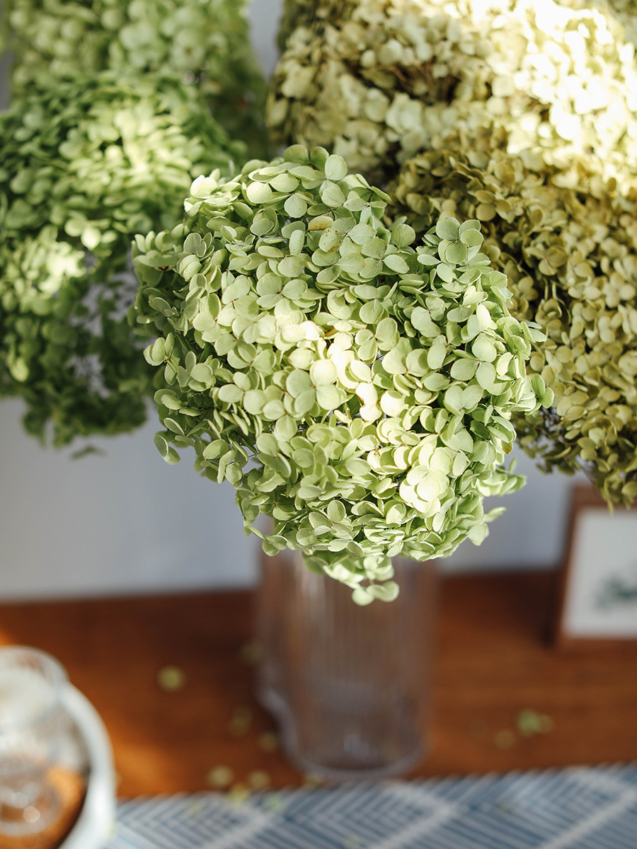 安娜小叶绣球花干花ins风干鲜花真花天然秋色大叶吊顶装饰花