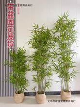 仿生竹子装饰客厅茶室新中式假竹子植物盆栽竹子造景