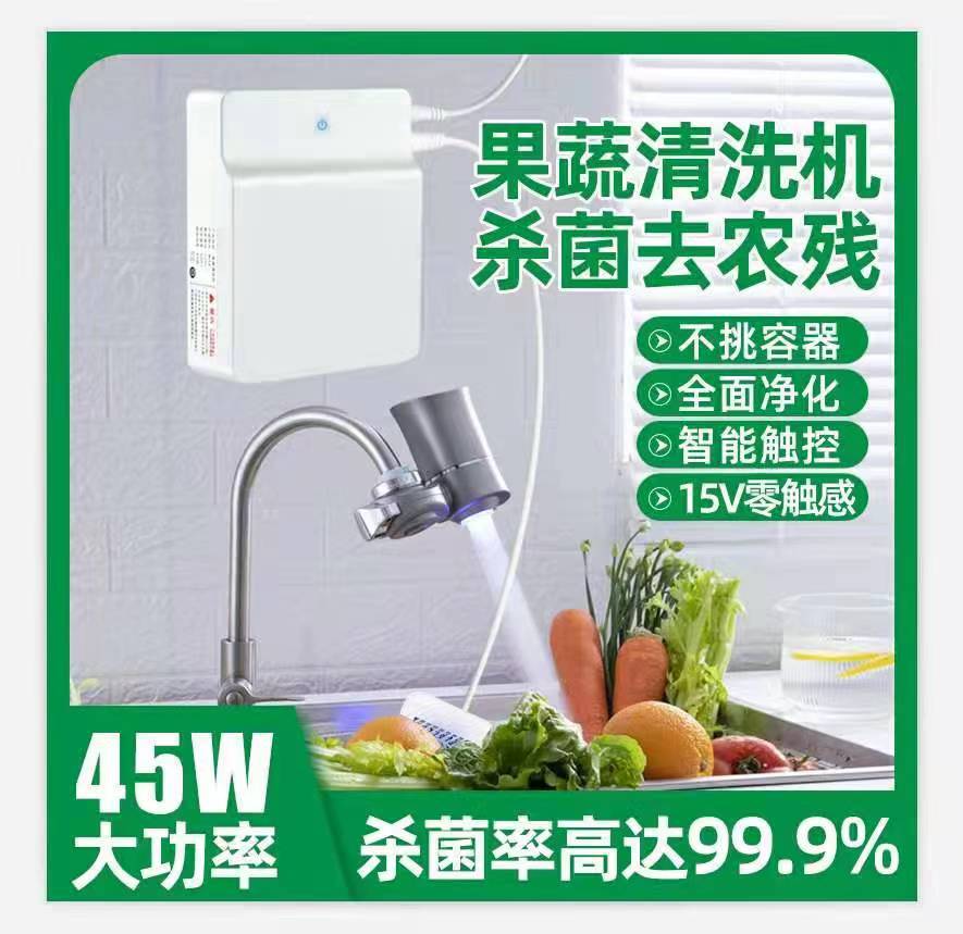 果蔬清洗净化器肉类蔬菜水果消毒清洗机自动家用去农残洗菜机