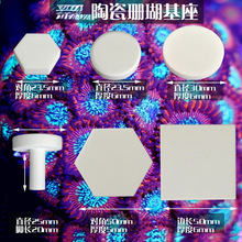 珊瑚繁殖基座造景纽扣断肢T型托盘sps水珊瑚陶瓷底座六边形培育