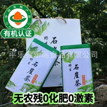 厂家供应广西特产有机石崖茶 候摘茶云雾茶 散装石崖茶批发