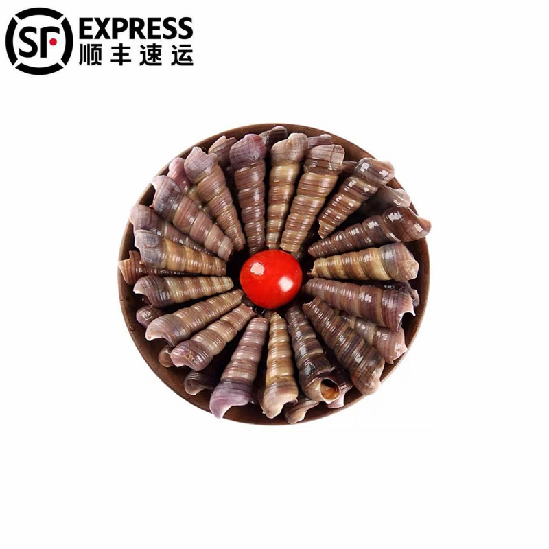 5斤顺丰新鲜钉螺鲜活去尾冻水产冻海螺丝丁螺烧烤海鲜食材麻辣钉