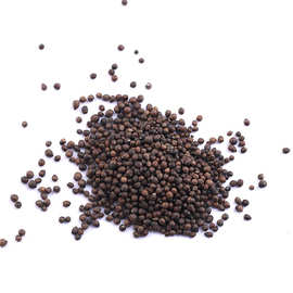 云南滇黄精种子鸡头黄精种子姜黄精种子成孰好颗粒饱满发芽率高