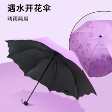 遇水开花伞手动折叠小清新晴雨两用太阳伞黑胶防晒防紫外线遮阳伞