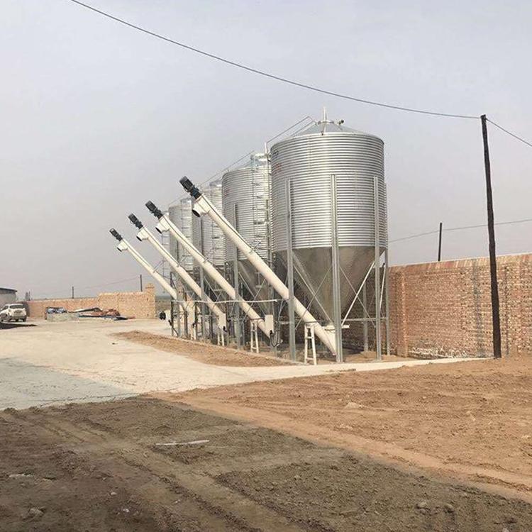 猪场自动化养殖设备饲料储存罐 猪场喂料系统 饲料储存罐