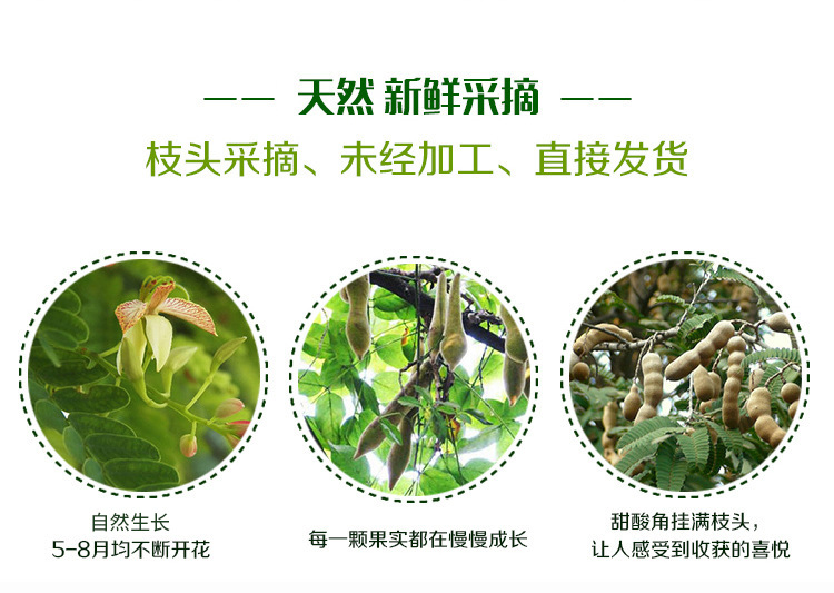 甜酸角云南特产甜角新鲜罗望子大甜酸角320g果脯干孕妇休闲零食