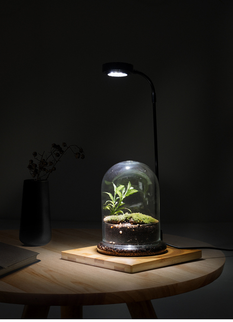 工厂直供竹板灯微景观植物灯观赏鱼缸射灯玻璃瓶苔藓生长补光灯