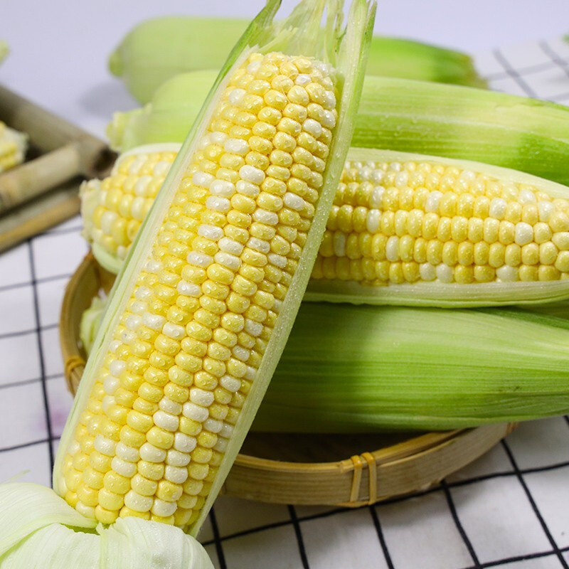 云南金银水果玉米10斤当季新鲜蔬菜爆浆嫩玉米棒生吃甜糯玉米整箱