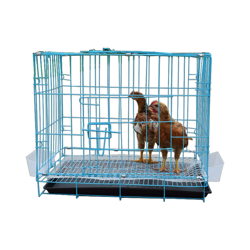 小鸡笼家用小号育雏鸡笼鹌鹑鸽子兔子笼养殖笼狗笼小型加密鸡笼子