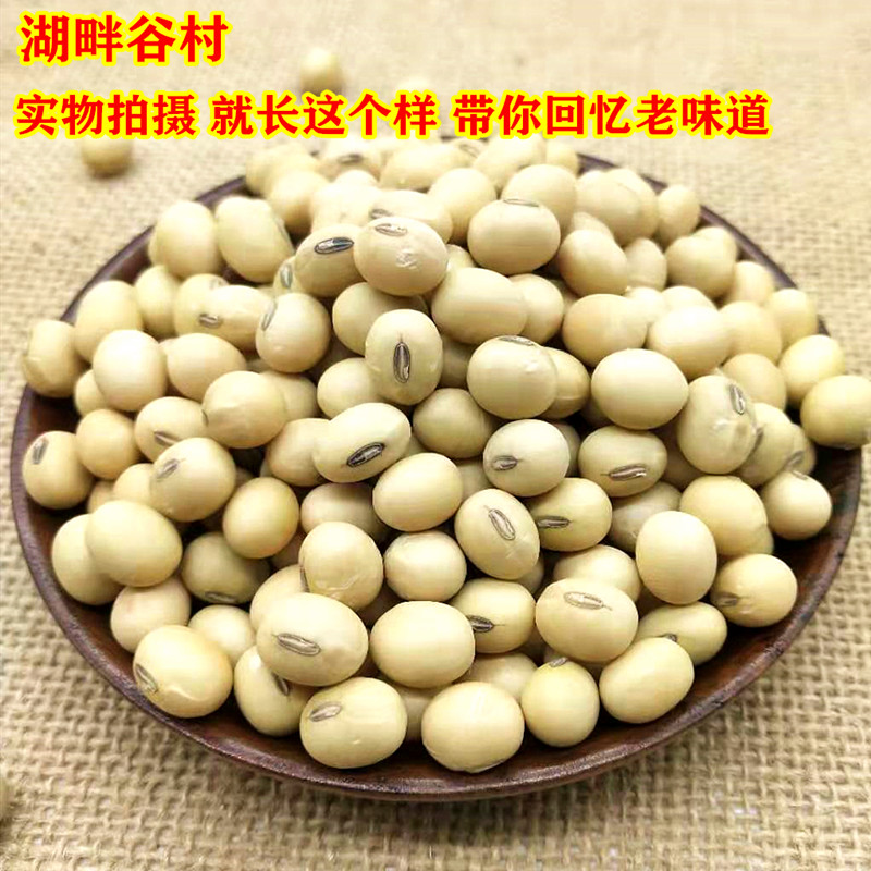 新黄豆5斤 农家老品种土黄豆 豆浆豆腐原料苏北黑脐王