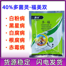 天邦死苗烂根枯萎病根腐病土壤消毒杀菌剂农药40g40%多菌灵福美双