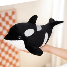 海洋动物鲸鱼毛绒玩具黑虎鲸公仔小号30厘米抓机布娃娃玩偶儿童节
