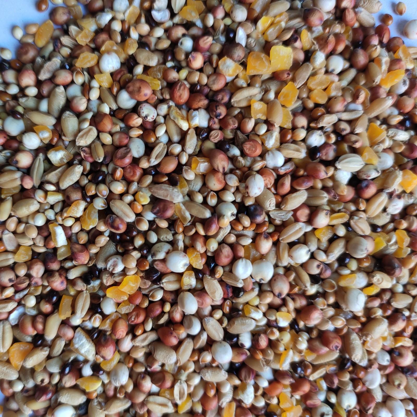 斑鸠粮竹鸡粮山鸡粮鸡饲料斗鸡粮仓鼠粮4合1鸽粮鸟食饲料5斤包邮