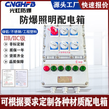 BXMD-6K一控四防爆照明动力配电箱开关控制箱防爆多回路带总开关