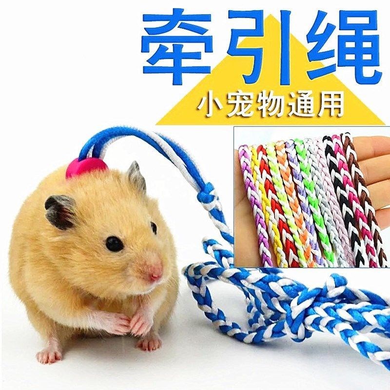 溜仓鼠牵引绳遛鼠绳小型宠物金丝熊松鼠兔子绳外带包棉窝送铃铛
