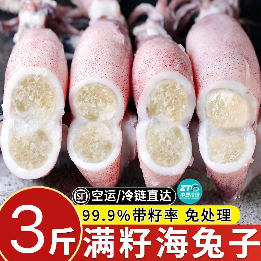 海兔子满籽笔管鱼鲜活冷冻籽乌新鲜墨鱼仔带籽小鱿鱼乌贼全籽纯籽