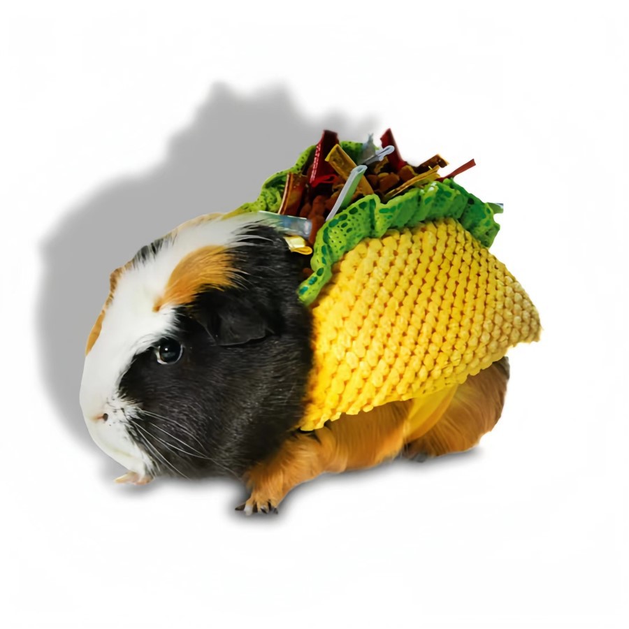 跨境新品 万圣节礼物可爱小宠物仓鼠披风斗篷宠物猫狗服装衣服